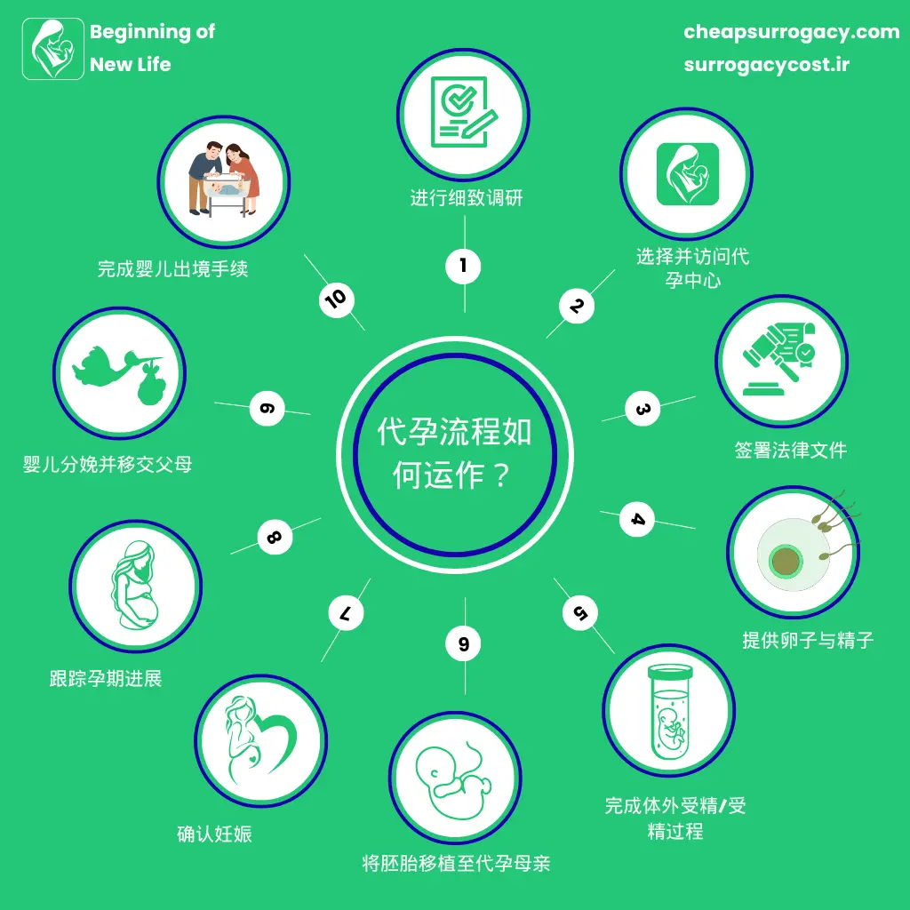 代孕流程如何运作