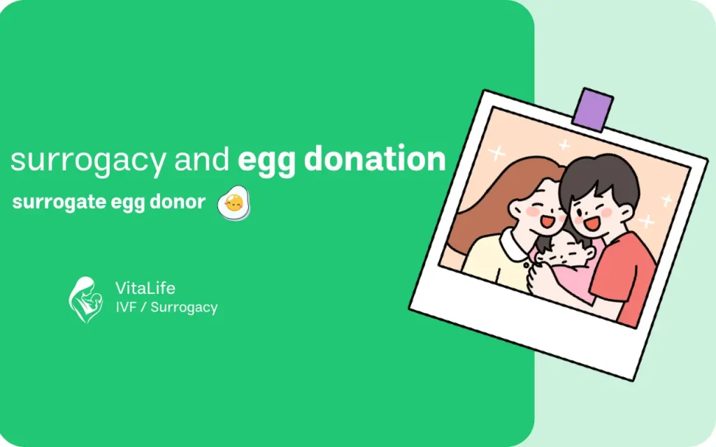 surrogacy and egg donation