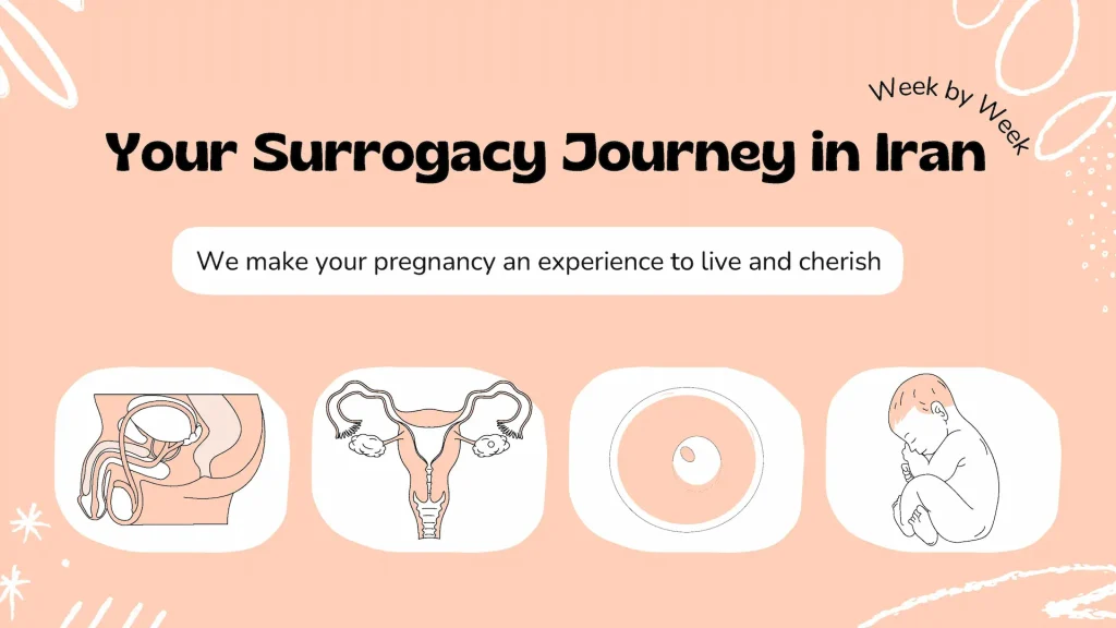 Surrogacy Services in Iran 10 Your Surrogacy Journey in Iran - 1