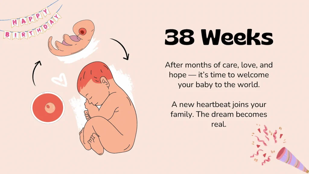 Surrogacy Services in Iran 19 Your Surrogacy Journey in Iran - 10