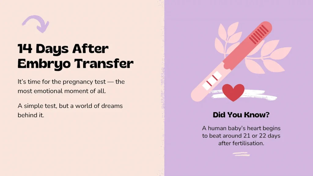 Surrogacy Services in Iran 12 Your Surrogacy Journey in Iran - 3