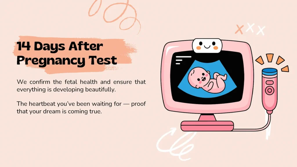 Surrogacy Services in Iran 13 Your Surrogacy Journey in Iran - 4