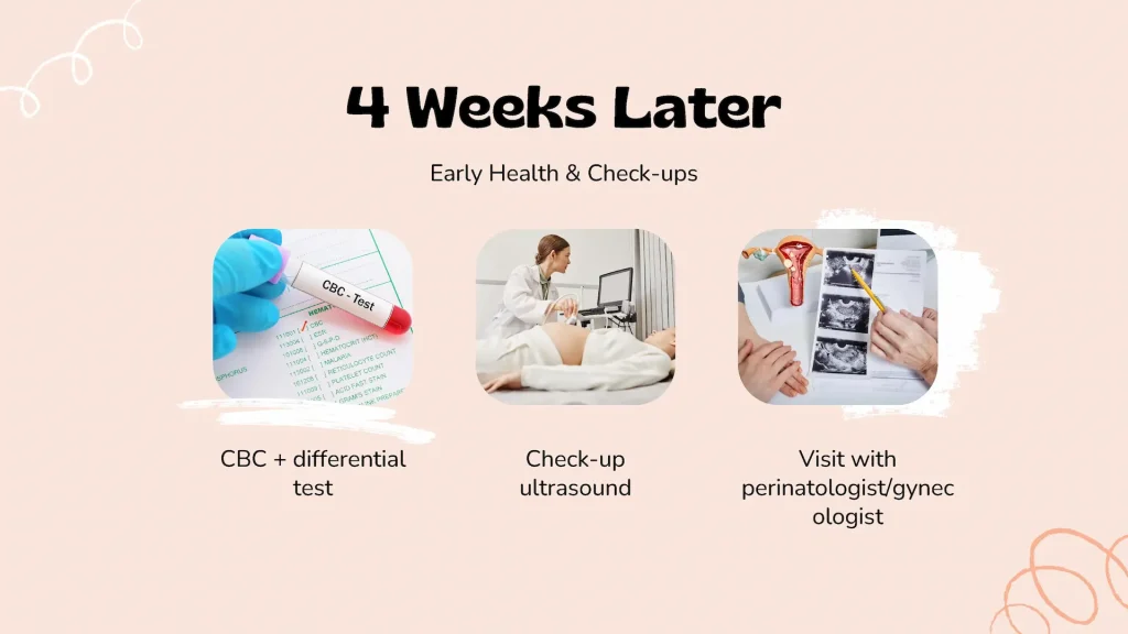 Surrogacy Services in Iran 14 Your Surrogacy Journey in Iran - 5