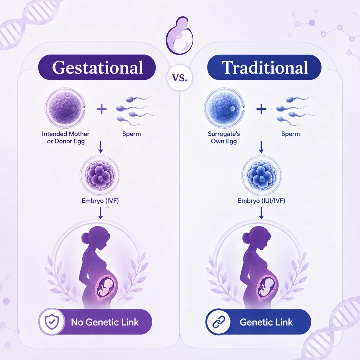 Types of Surrogacy 1 Types of Surrogacy