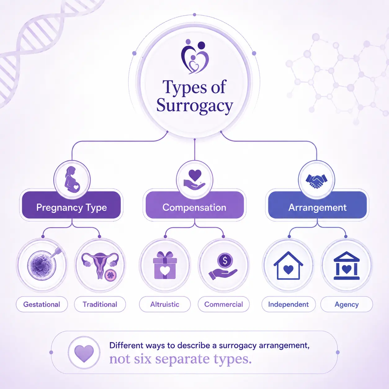 Types of Surrogacy 2 Infographic explaining types of surrogacy, including gestational, traditional, altruistic, commercial, independent, and agency surrogacy